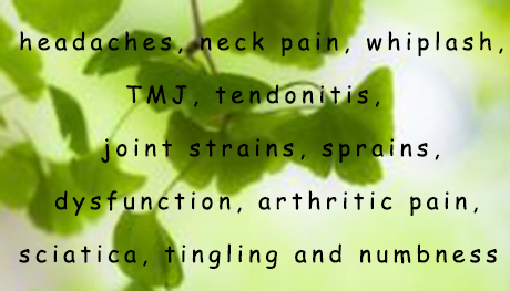 Acupuncture Holistic Approach